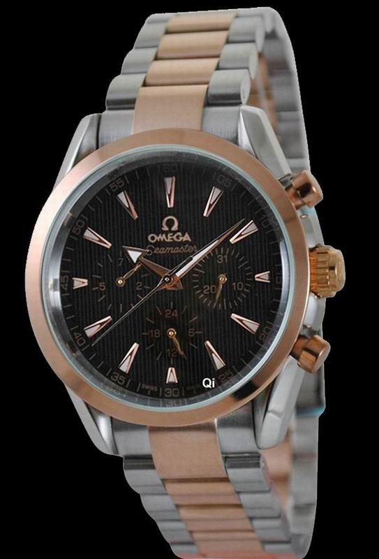 OMEGA Watch 309